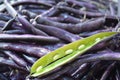 Purple string beans