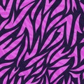 Abstract purple zebra stripes form a seamless pattern for fashion fabrics and wrapping paper. Royalty Free Stock Photo