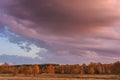 Purple sunset over forests and fields Royalty Free Stock Photo