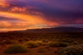 Purple sunset over the karoo veld in South Africa