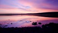 Purple sunset over sea water Royalty Free Stock Photo