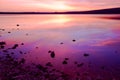 Purple sunset over sea water Royalty Free Stock Photo