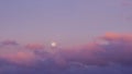 Purple sunset sky with full moon. Royalty Free Stock Photo