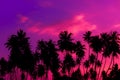 Purple sunset on tropical beach with coconut palm trees Royalty Free Stock Photo