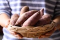 Purple sweet potato in basket holding by woman hand