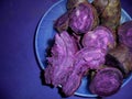 purple sweet potato is a plant whose roots form tubers with high nutritional levels. Royalty Free Stock Photo