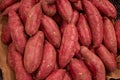 Sweet potatoes on display at a market Royalty Free Stock Photo