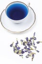 Purple tea from the flowers of the clitoris of Chang shu blue tea for weight loss.