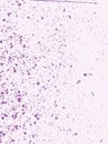 Vector Purple Terrazzo Texture Background Royalty Free Stock Photo