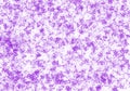 Gritty Grunge Purple Texture Background Abstract on White