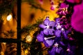 Purple Thai Orchid flowers on  blur background in the garden Royalty Free Stock Photo
