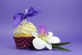 Purple theme cupcake with orchid flower Royalty Free Stock Photo