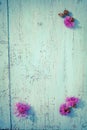 Purple thistle flowers on old wooden board, vintage colors