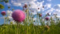 Purple thistles against a blue cloudy sky