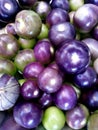 Purple Tomatillo Royalty Free Stock Photo