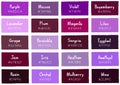 Purple Tone Color Shade Background with Code and Name