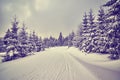 Purple toned winter landscape with cross-country skiing tracks Royalty Free Stock Photo