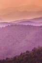 Purple Tones of the Great Smoky Mountains