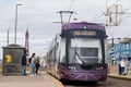 Purple tram stops on Blackpools Golden Mile