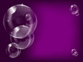 A purple transparent soap bubble background design Royalty Free Stock Photo