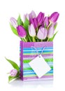 Purple tulip bouquet in gift bag Royalty Free Stock Photo