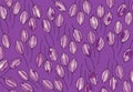 Purple tulip bud background pattern