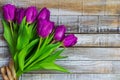 Purple tulip, liliaceae on rustic desk. Cut flower bouquet on wood background