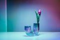 Purple tulip in a rainbow holographic glass vase on gradient background. Floral bouquet of fresh flower on turquoise