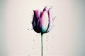 Purple tulip in watercolor.