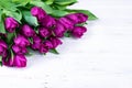 Purple tulips bouquet on white wooden background. Royalty Free Stock Photo