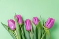 Purple tulips on a green background. Spring concept. Top view, f Royalty Free Stock Photo