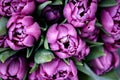 Purple tulips heads top down view on bouquet