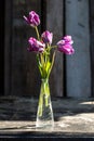 Purple tulips in a vase Royalty Free Stock Photo