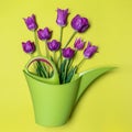 Purple tulips in watering can on light pastel background. Creative composition in violet and green, greeting card for spring Royalty Free Stock Photo