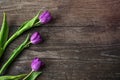 Purple tulips on wooden background top view Royalty Free Stock Photo