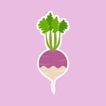 purple turnip flat design vector illustration. Adorable cartoon radish and cheerful turnip friendly character. Vector illustration