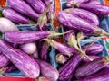 Purple Striped Graffiti Eggplant Vegetables At The Market Royalty Free Stock Photo