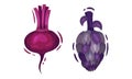 Purple Vegetable with Beetroot and Artichoke Vector Set