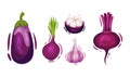 Purple Vegetables with Eggplant and Beet Vector Set