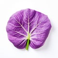 Purple Vine Leaf On White Background: Taro Isolated