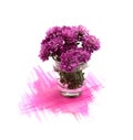 Purple violet Chrysanthemum flowers and hand painted watercolor blot spot isolated on white background. Design element Royalty Free Stock Photo