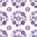 Purple violet daisy petal spring flower blossom vector seamless pattern, abstract flora illustration drawing on white background f Royalty Free Stock Photo