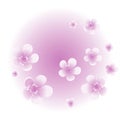 Purple Violet flowers isolated on violet gradient circle background. Apple-tree flowers. Cherry blossom. Vector