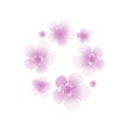 Purple Violet flowers isolated on white background. Apple-tree flowers. Cherry blossom. Vector EPS 10 cmyk Royalty Free Stock Photo