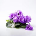 Violet Flowers On White Background: Patricia Piccinini Style Still-life