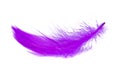 Purple violet fluffy elegance feather isolated on the white background Royalty Free Stock Photo