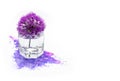 Purple violet giant onion Allium giganteum spring flowers and hand painted watercolor blot spot on white background. A4 paper size Royalty Free Stock Photo