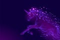 Purple violet glowing horse unicorn riding night sky star. Creative decoration magical backdrop shining cosmos space