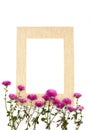 Purple violet tiny cute Chrysanthemum and natural beige yellow color frame isolated on white background. Border photo Royalty Free Stock Photo