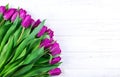 Purple violet tulips bouquet on white wooden background. Royalty Free Stock Photo